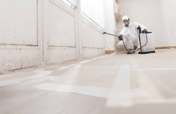 24/7 Emergency Mold Removal experts in Melfa, VA