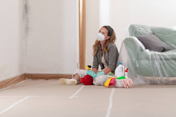 Reliable Mold Removal contractor in Melfa, VA by WQB Mold Removal